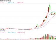 占用子公司资金遭起诉要求偿还3.38亿元 恒天海龙如何应对信誉风险？