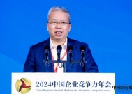 陈士华：建议2025年“两新”补贴政策进一步细化，加强对商用车的补贴力度