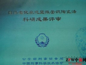 2024澳门天天六开彩免费资料，成亲精选答案落实_抢先版9.75